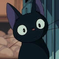 Jiji Jiji